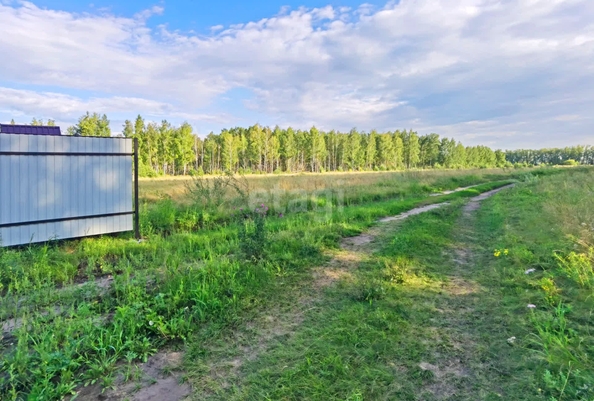 
  Продам  участок ИЖС, 15 соток, Усть-Заостровка

. Фото 9.