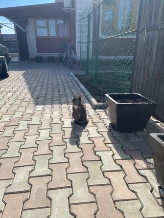 
  Продается дом, 70.9 м², село Дружино
. Фото 26.