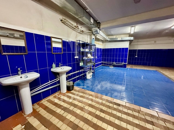 
  Сдается производственное помещение, 76 м², Молодежная 3-я ул, д. 81А
. Фото 10.