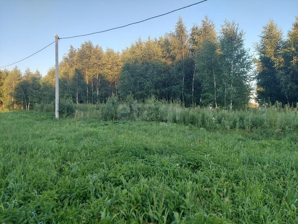 
  Продается земельный участок, 10 соток, село Ребровка
. Фото 3.