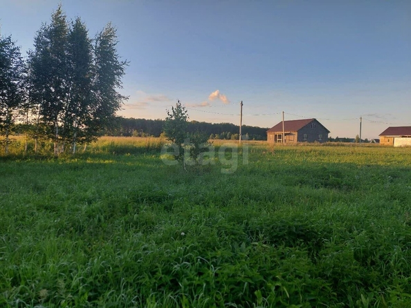 
  Продается земельный участок, 10 соток, село Ребровка
. Фото 5.