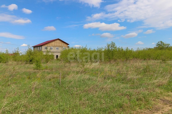 
  Продается земельный участок, 8 соток, село Ребровка
. Фото 3.
