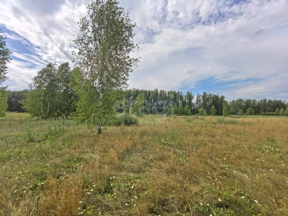 
  Продается земельный участок, 11 соток, село Усть-Заостровка
. Фото 2.