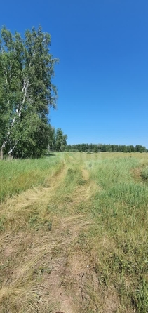 
  Продается земельный участок, 10.64 соток, село Усть-Заостровка
. Фото 3.