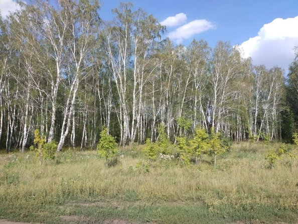 
  Продается земельный участок, 120 соток, село Ребровка
. Фото 1.