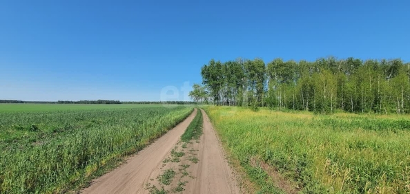 
  Продается земельный участок, 10 соток, село Усть-Заостровка
. Фото 3.
