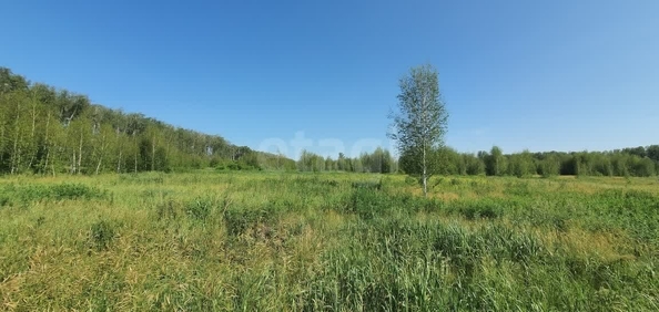 
  Продается земельный участок, 10 соток, село Усть-Заостровка
. Фото 5.