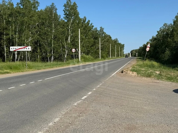 
  Продается земельный участок, 1230.02 соток, село Красноярка
. Фото 5.