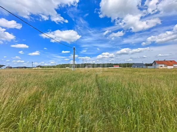 
  Продается земельный участок, 5 соток, село Усть-Заостровка
. Фото 4.
