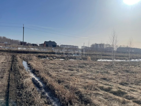 
  Продается земельный участок, 9.5 соток, село Ребровка
. Фото 1.
