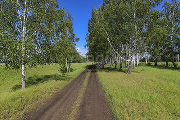 
  Продается земельный участок, 405.63 соток, село Красная Горка
. Фото 1.