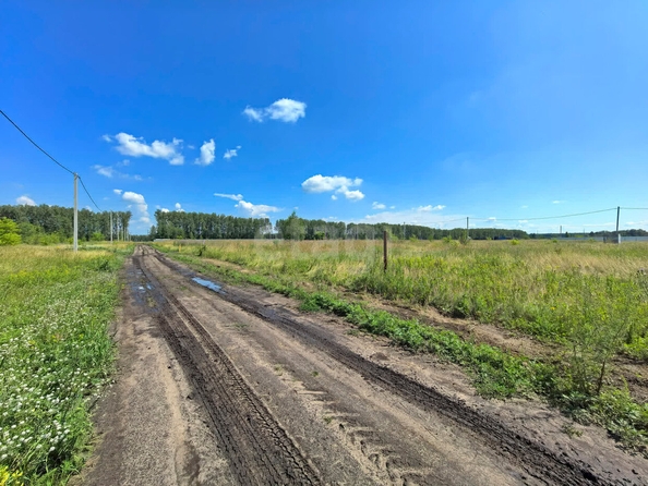 
  Продается земельный участок, 10 соток, поселок Иртышский
. Фото 3.
