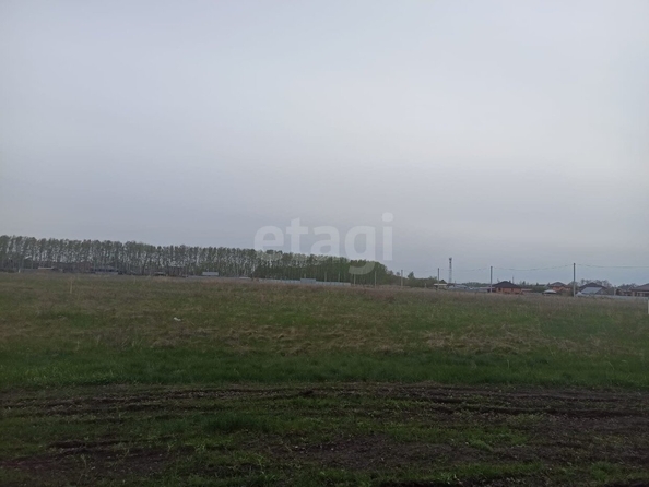 
  Продается земельный участок, 10 соток, село Усть-Заостровка
. Фото 2.