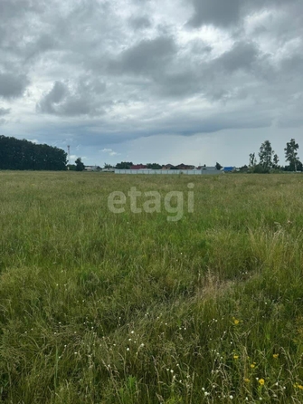 
  Продается земельный участок, 12 соток, поселок Иртышский
. Фото 2.