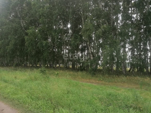 
  Продается земельный участок, 10.9 соток, село Усть-Заостровка
. Фото 1.
