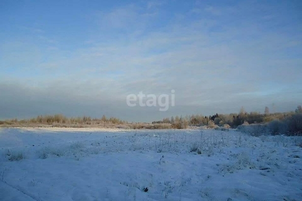 
  Продается земельный участок, 10.9 соток, село Красноярка
. Фото 3.