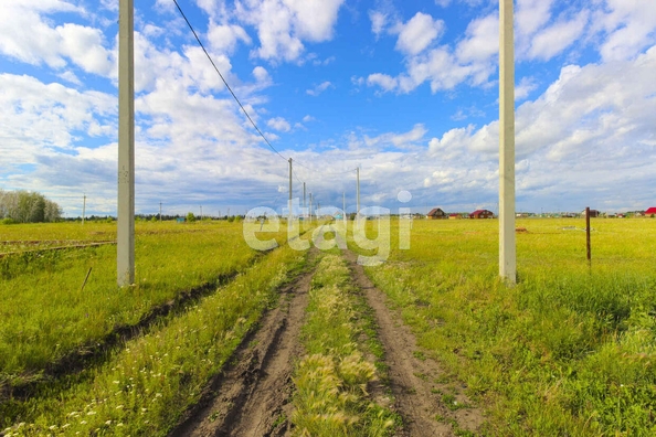 
  Продается земельный участок, 10.9 соток, село Ребровка
. Фото 1.