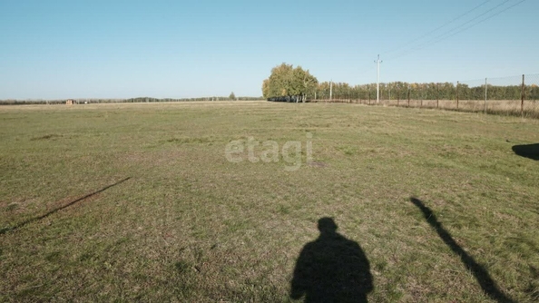 
  Продается земельный участок, 750.4 соток, село Усть-Заостровка
. Фото 1.