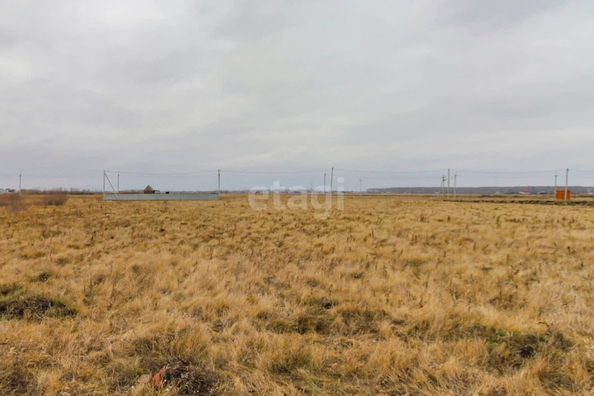
  Продается земельный участок, 10 соток, село Ребровка
. Фото 2.
