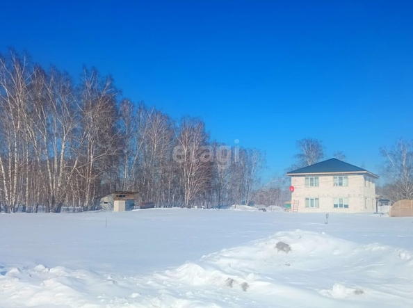 
  Продается земельный участок, 8.2 соток, поселок Ключи
. Фото 2.