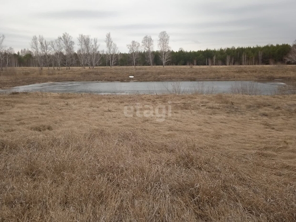 
  Продается земельный участок, 285.5 соток, деревня Покровка
. Фото 3.