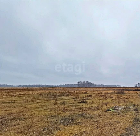 
  Продается земельный участок, 5 соток, село Ульяновка
. Фото 2.
