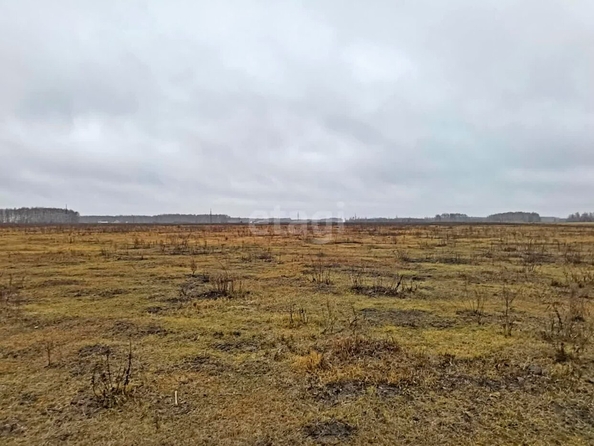 
  Продается земельный участок, 5 соток, село Ульяновка
. Фото 4.