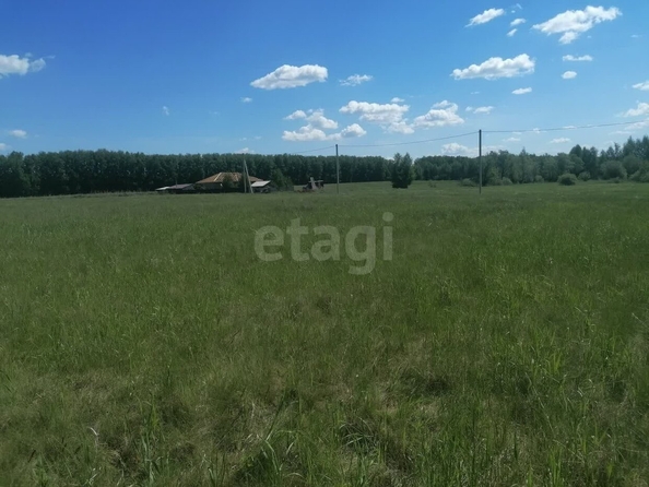 
  Продается земельный участок, 5 соток, село Усть-Заостровка
. Фото 3.