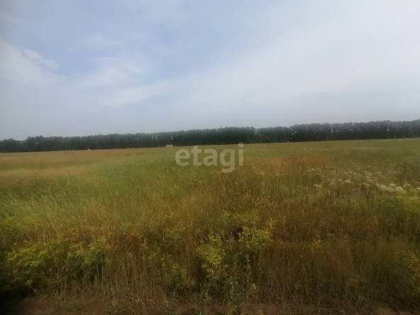 
  Продается земельный участок, 15 соток, село Усть-Заостровка
. Фото 2.