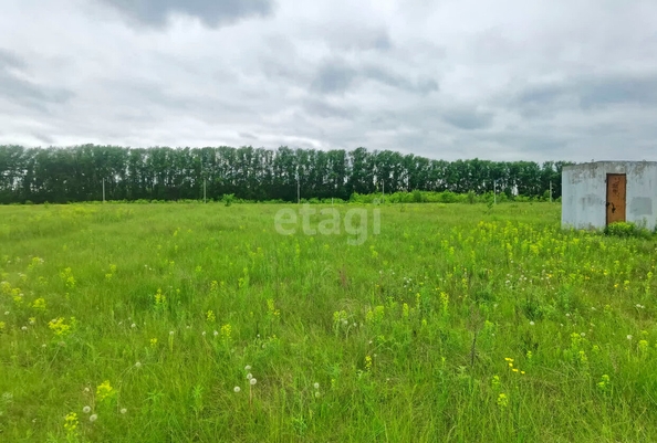 
  Продается земельный участок, 10 соток, поселок Иртышский
. Фото 1.