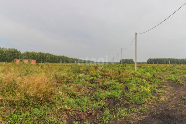 
  Продается земельный участок, 9.2 соток, микрорайон Омский
. Фото 4.