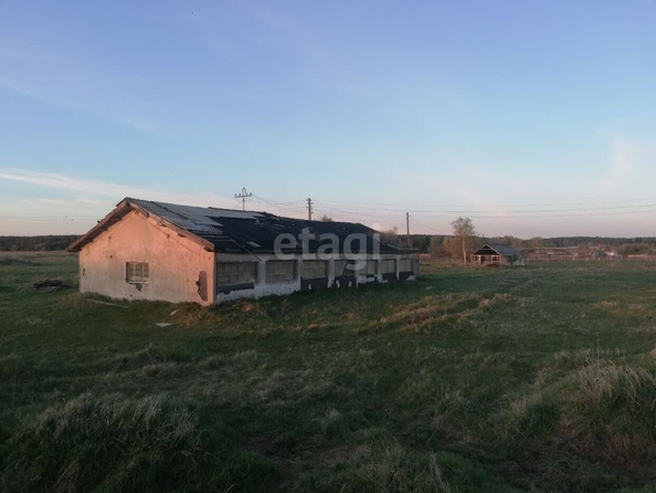 
  Продается производственное помещение, 25000 м², Зеленая ул, д. 53
. Фото 4.