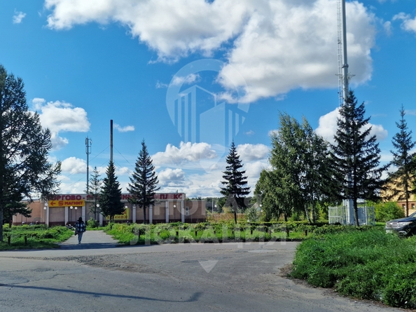 
  Сдается торговая площадь, 50 м², Торговая ул, д. 10
. Фото 5.