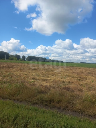 
  Продается земельный участок, 10 соток, микрорайон Омский
. Фото 2.