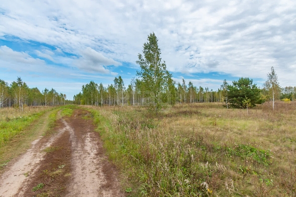 
  Продается земельный участок, 1019 соток, село Красноярка
. Фото 1.