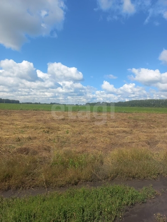 
  Продается земельный участок, 180 соток, микрорайон Омский
. Фото 1.