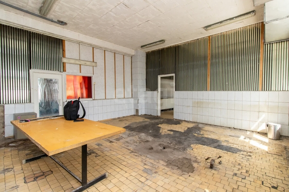
  Сдается универсальное помещение, 268.5 м², 20 лет РККА ул, д. 302
. Фото 4.