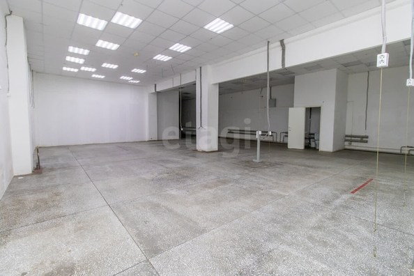 
  Сдается универсальное помещение, 200 м², Рождественского ул, д. 6/1
. Фото 3.