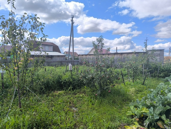 
  Продается земельный участок, 8 соток, деревня Ракитинка (Пушкинского с/п)
. Фото 1.