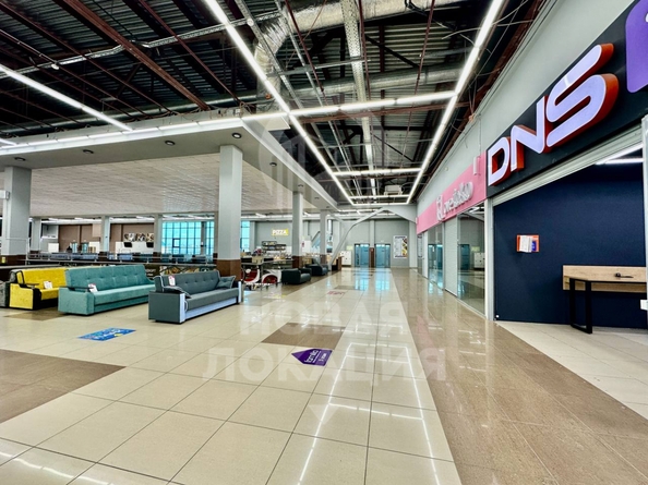 
  Сдается торговая площадь 520 м². Фото 11.