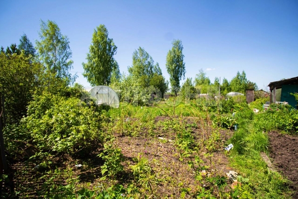 
  Продам  дачный участок, 8.2 соток, сдт Надежда-1 (Аэропорт)

. Фото 3.