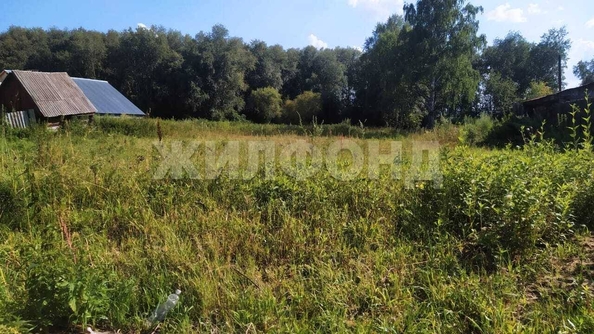 
  Продам  дачный участок, 12.3 соток, Казанка

. Фото 4.