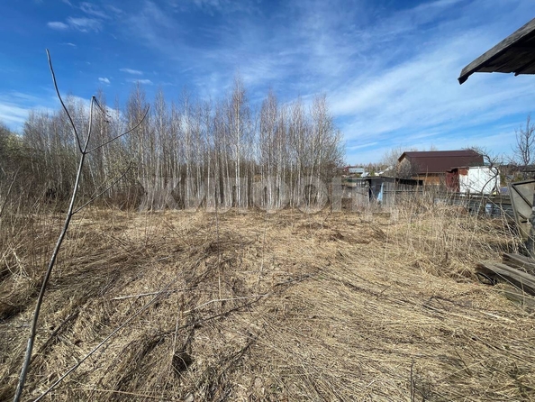 
  Продам  дачный участок, 6 соток, Томск

. Фото 2.