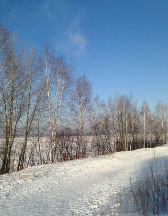 
  Продается 3-комн. квартира, 62.3 м², ЖК Радонежский, Береговая дом 25
. Фото 3.