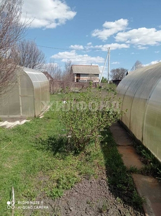 
  Продам дачу, 7.18 соток, Томск

. Фото 13.