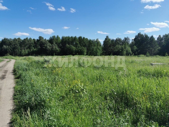 
  Продам  дачный участок, 10 соток, Кафтанчиково

. Фото 1.