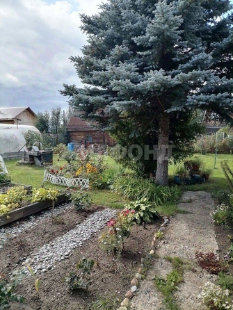 
   Продам дом, 25 м², Томск

. Фото 5.