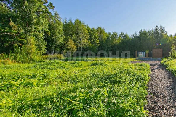 
  Продам дачу, 11.6 соток, сдт Чернобыль-2 (д Чернышевка)

. Фото 19.