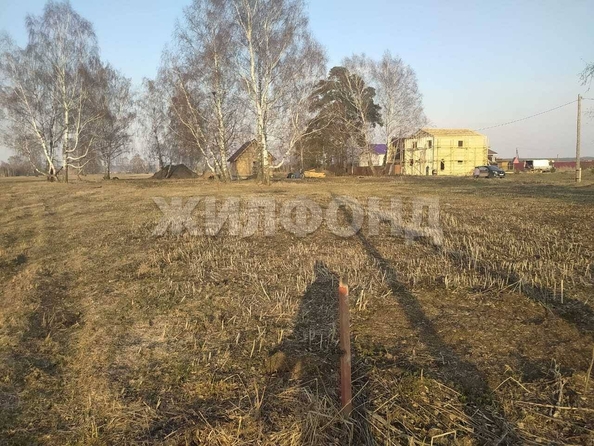 
  Продается земельный участок, 9.76 соток, село Калтай
. Фото 3.