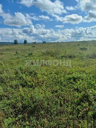 
  Продается земельный участок, 17.83 соток, поселок Чёрная Речка
. Фото 2.